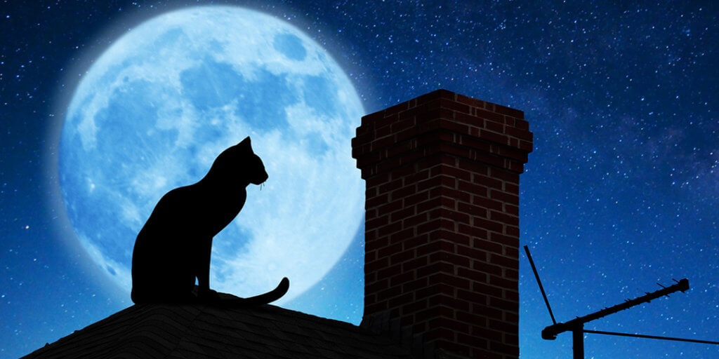 7 Health Hazards to Avoid on Friday the 13th