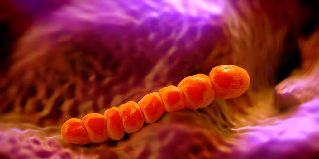 Pneumococcal Infection and Vaccine