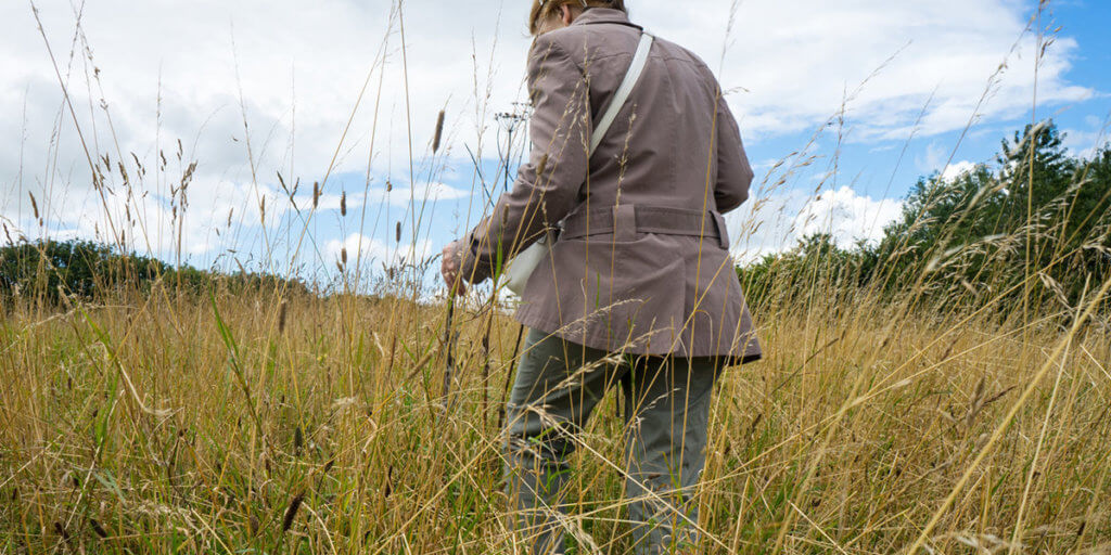 Ticks: Avoid the bug and treat the bite